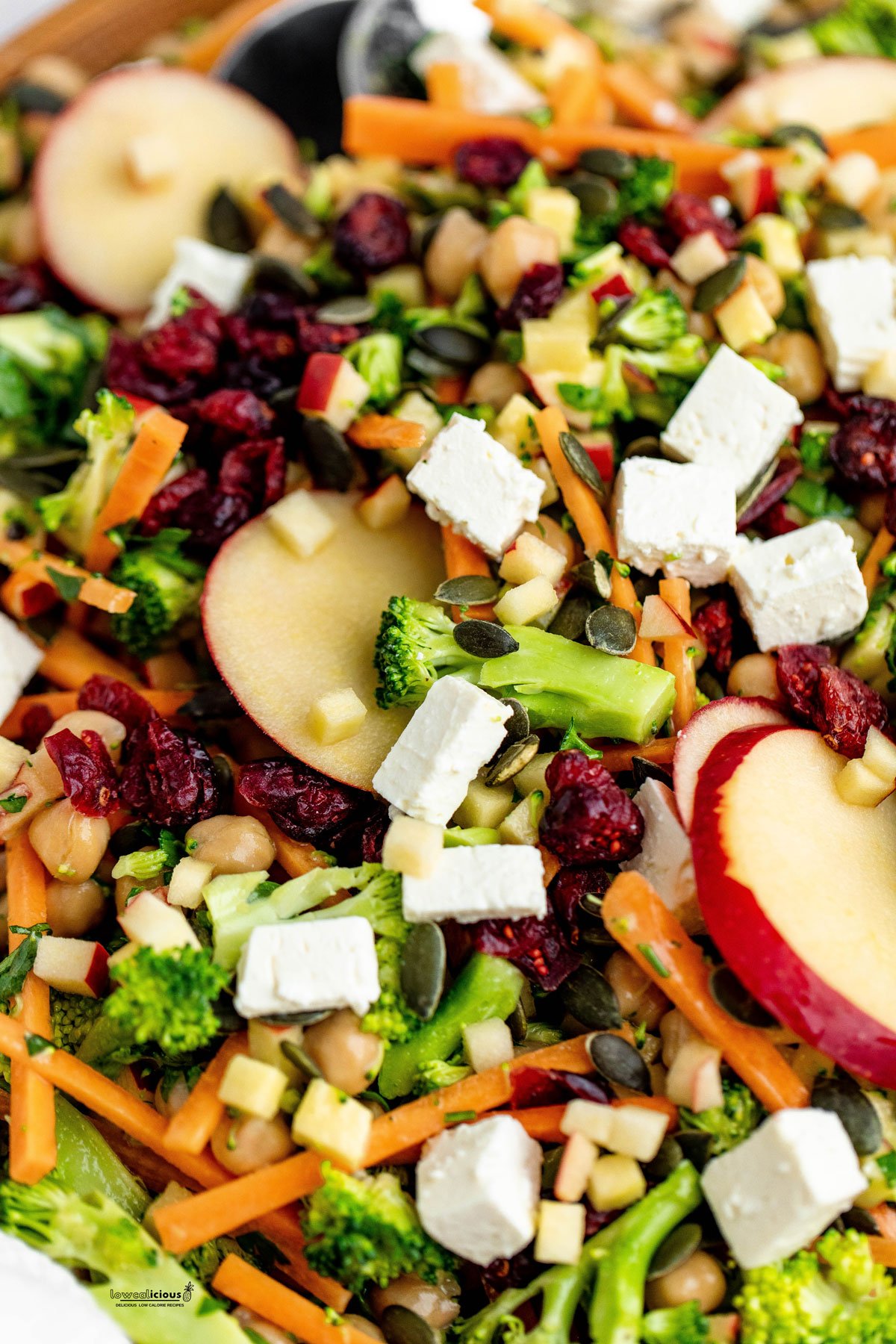 close up of a Healthy Broccoli Apple Salad Recipe with Cranberries to show all the ingredients together